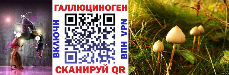 где купить наркоту  Барабинск  Псилоцибиновые грибы мухоморы 