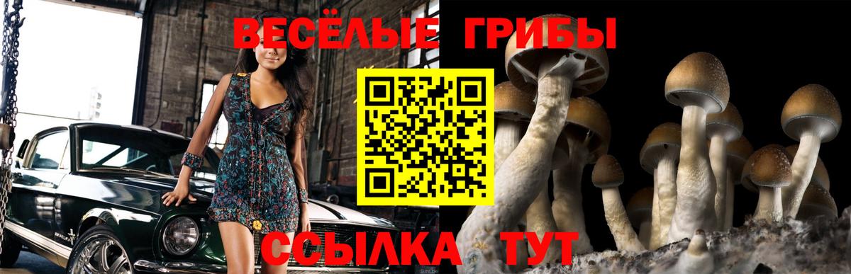Барабинск  дарнет шоп  Вход с VPN  Псилоцибиновые грибы Cubensis 